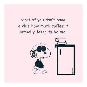 Meet your Posher, Robin-lee